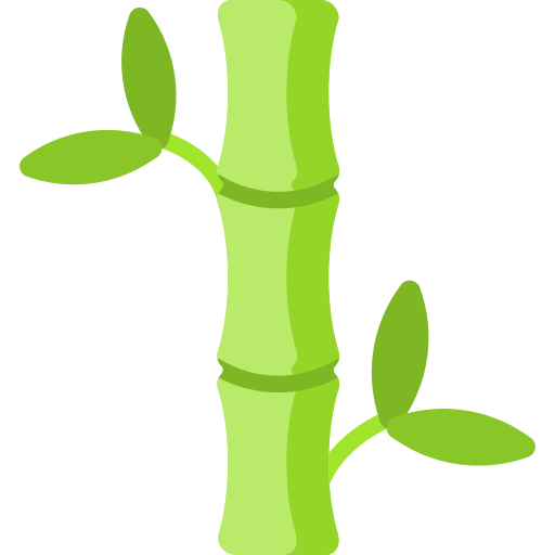 Bamboo